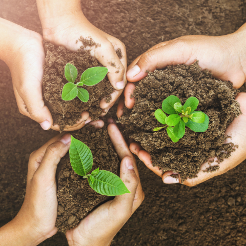 Sustainability Page Image