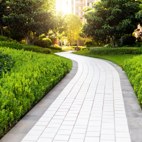 Landscaping Our Solutions